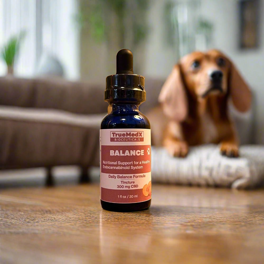 TrueMedX Balance for Pets - TrueMedX Bioceuticals